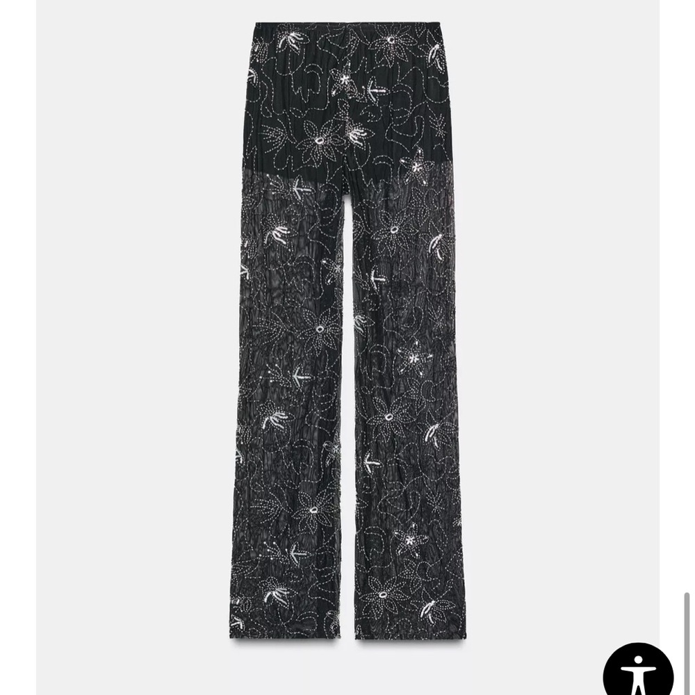 Zara Sheer Sequin Beaded Tulle Embroidered Pants